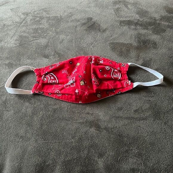 Reversible Handmade Nebraska Face Mask​ - Picture 1 of 2